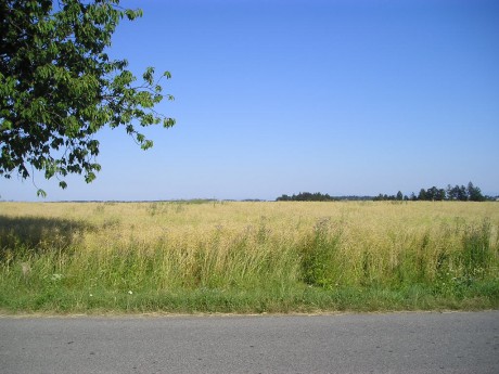 POZEMEK červenec.jpg