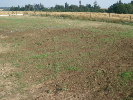 19.7.2007 trávník (4).jpg